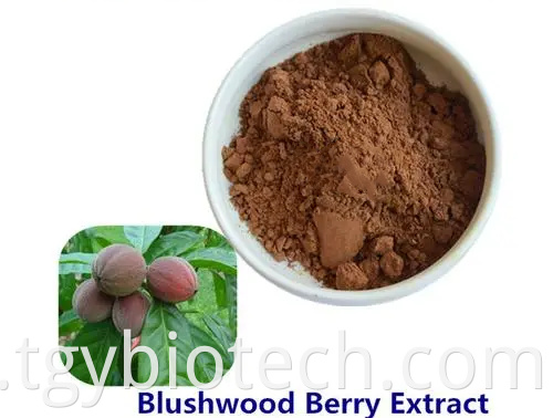 Blushwood Berry Extract